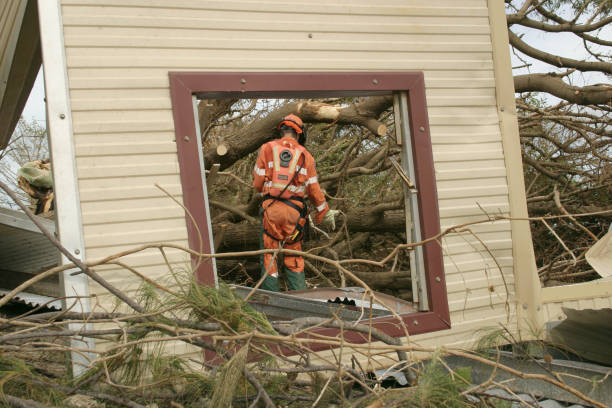 Reliable Sandy, OR Tree Care Services Solutions